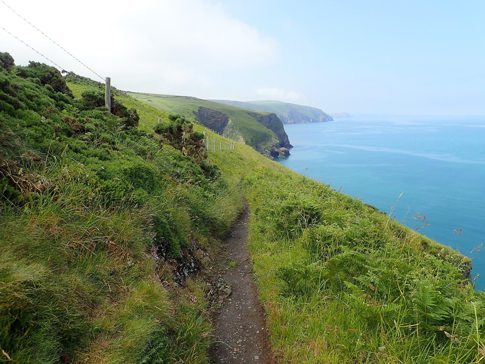 The Pembrokeshire Coast Path running along green clifftops above a blue sea