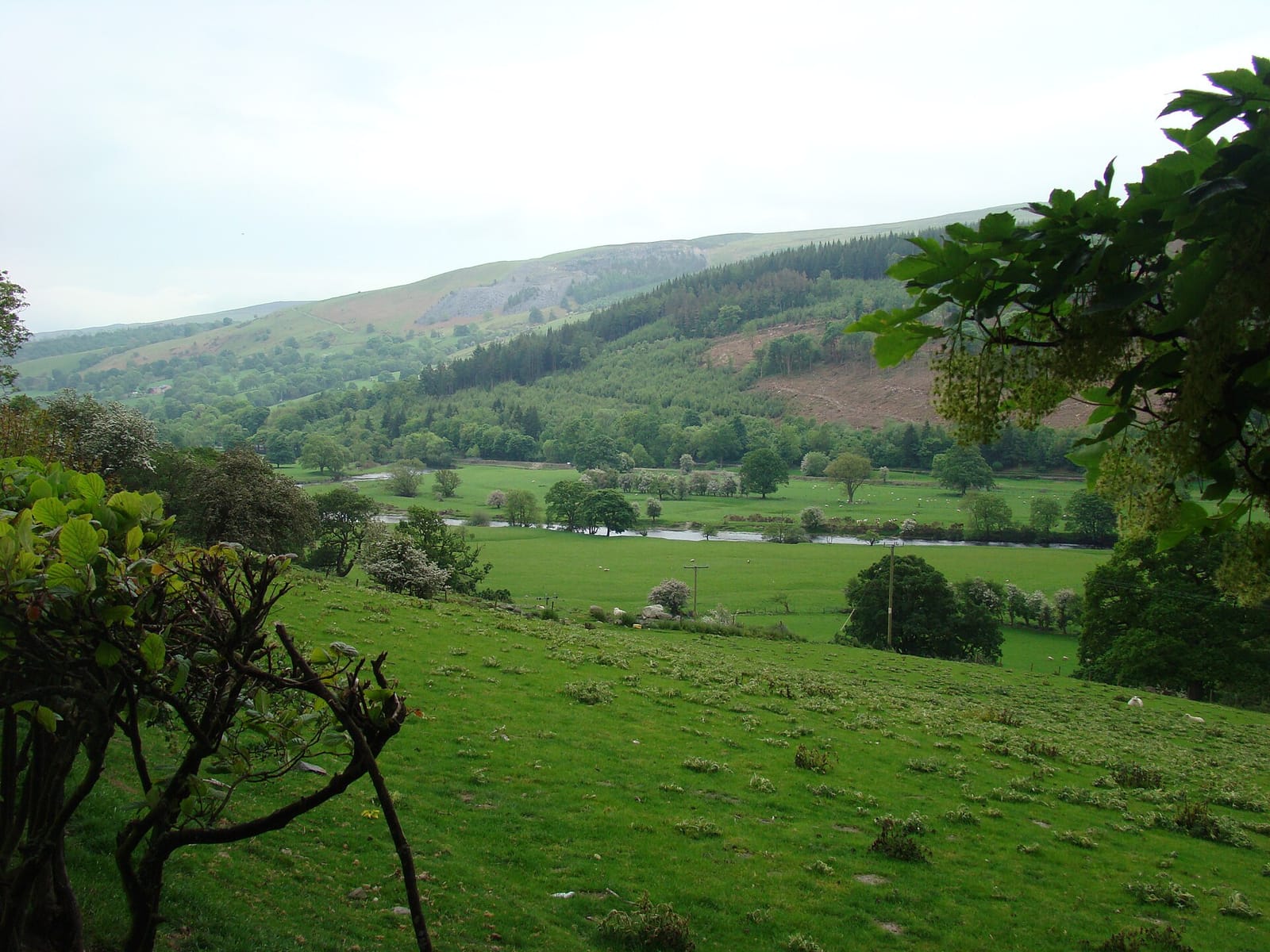 The Dee valley east of Corwen