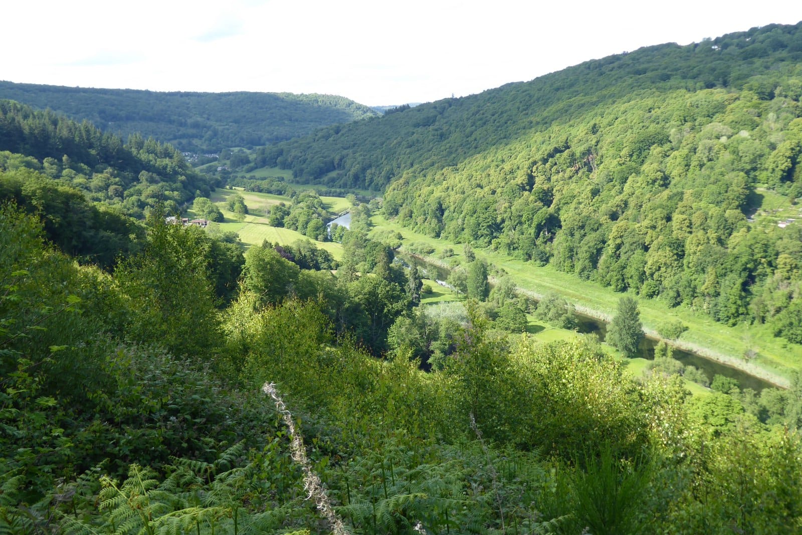 The River Wye winding through a steep, wooded gorge on the border